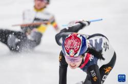 开云体育中国-瑞士雪橇运动员创造女子速滑最快纪录