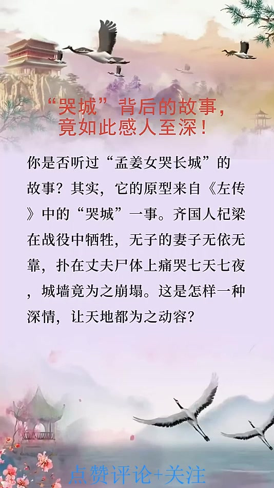 冠军秘闻传递背后故事，感人至深