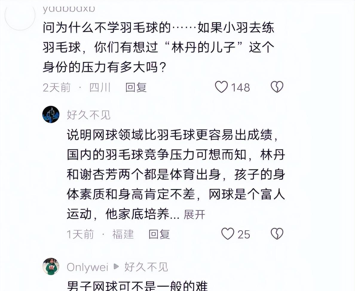 林丹的伤退让粉丝不可思议的简单介绍
