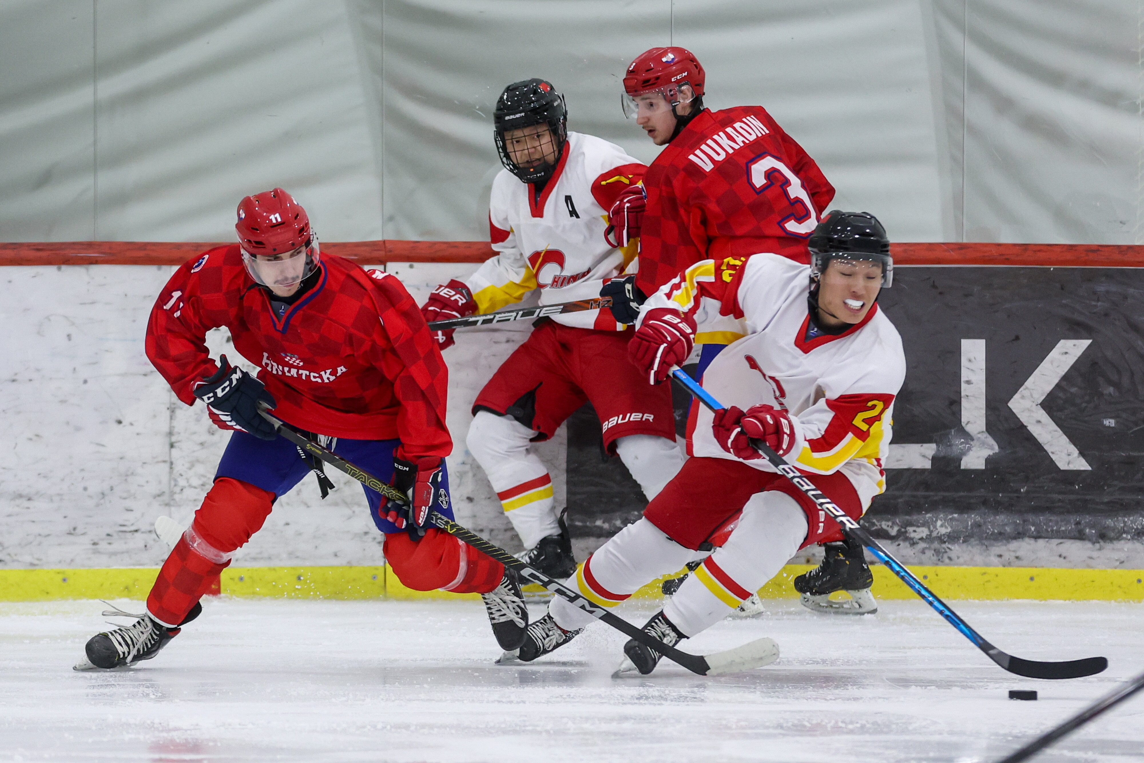 世界赛舞台,冰球代表国家出征荣耀的简单介绍 世界赛舞台,冰球代表国家出征荣耀的简单介绍